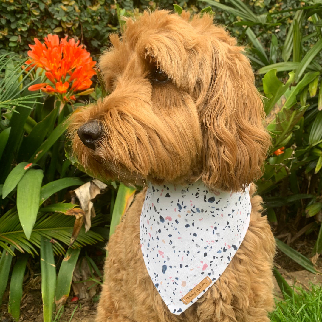 Tully Bandana - Medium