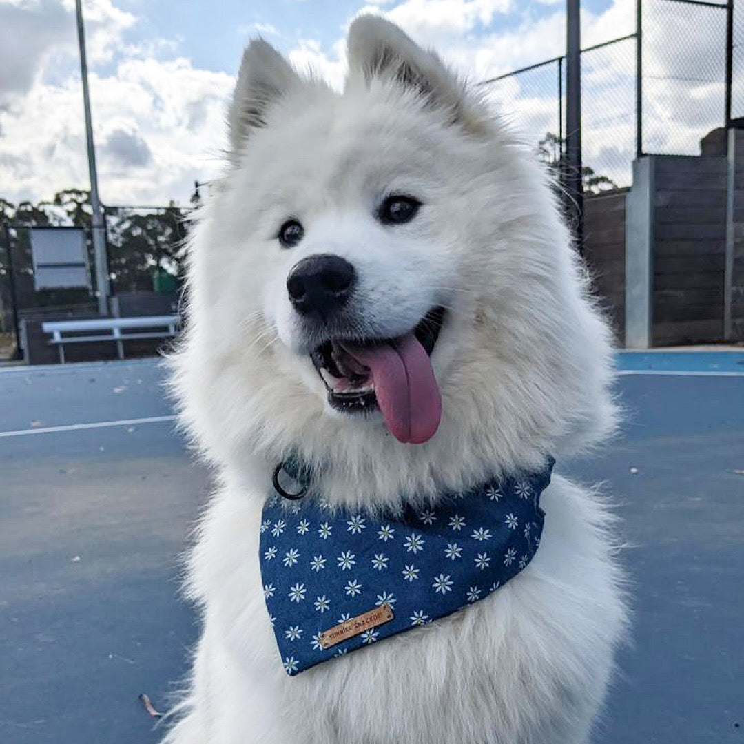 Millie Bandana