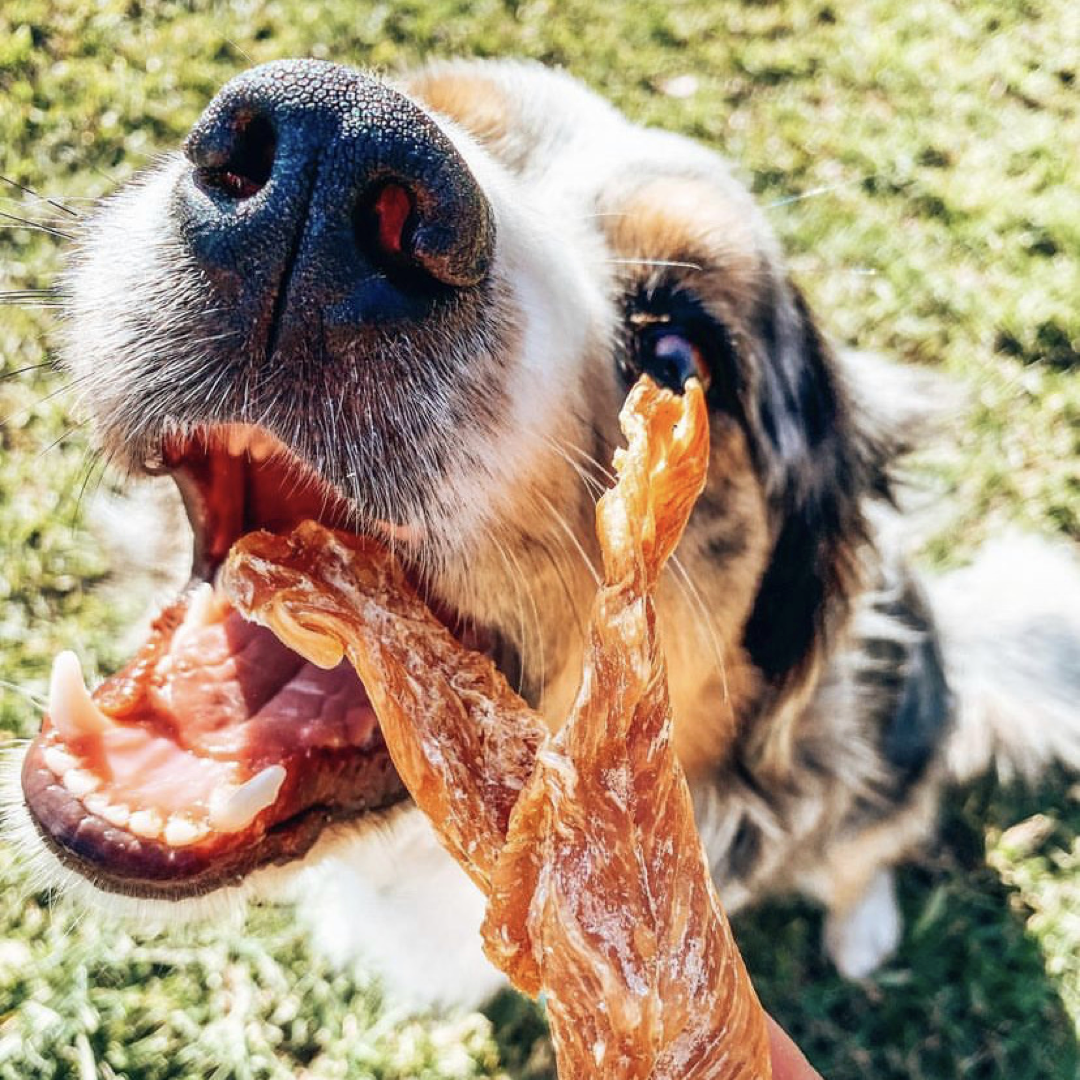 Chicken Jerky