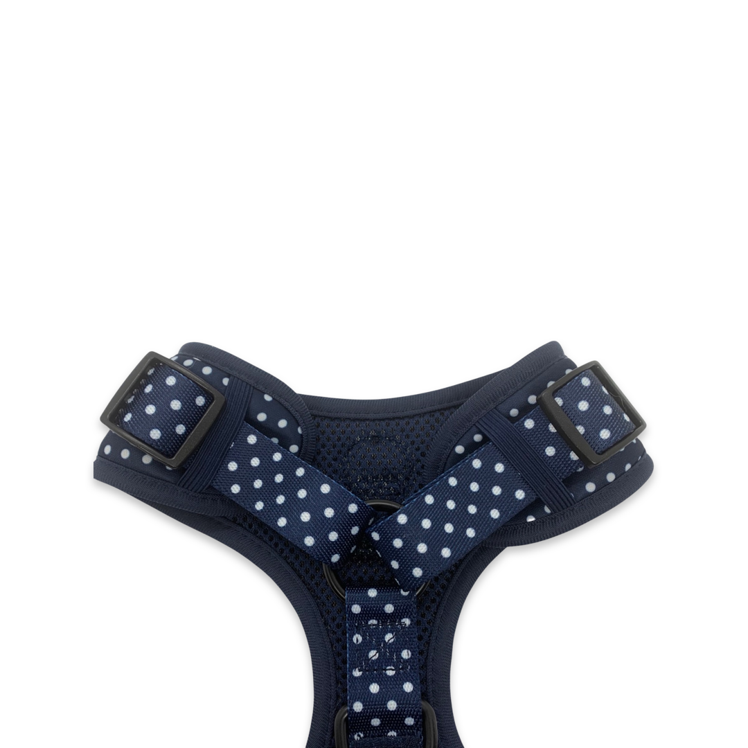 Cayo Harness