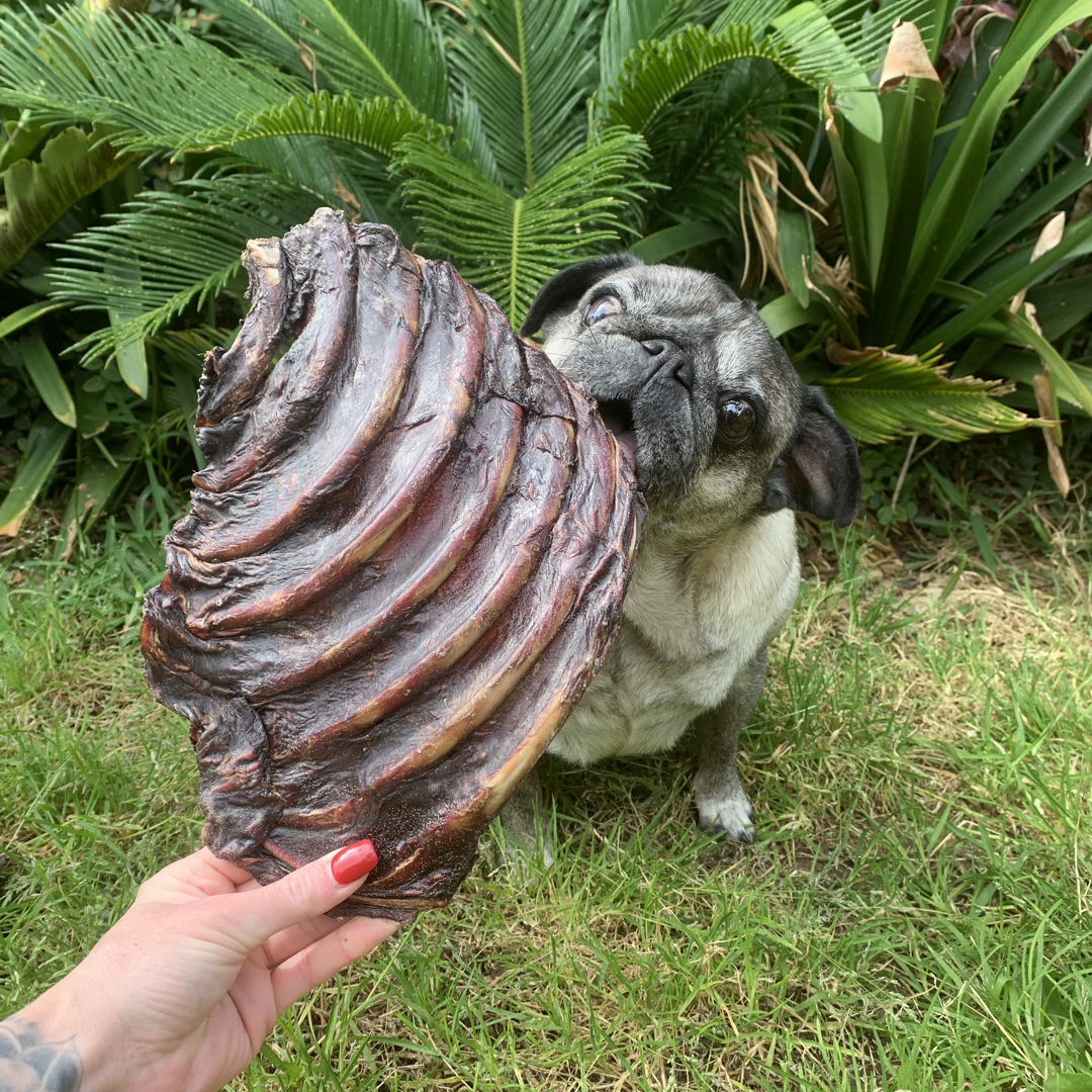 Kangaroo Ribs
