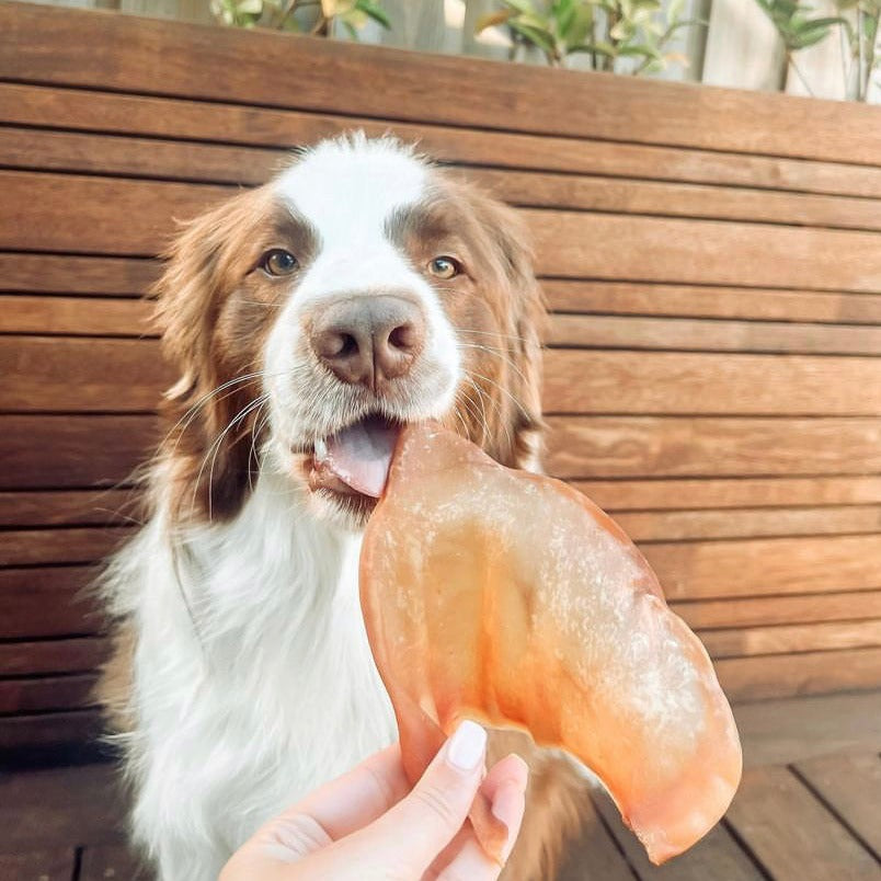 Pork Ears