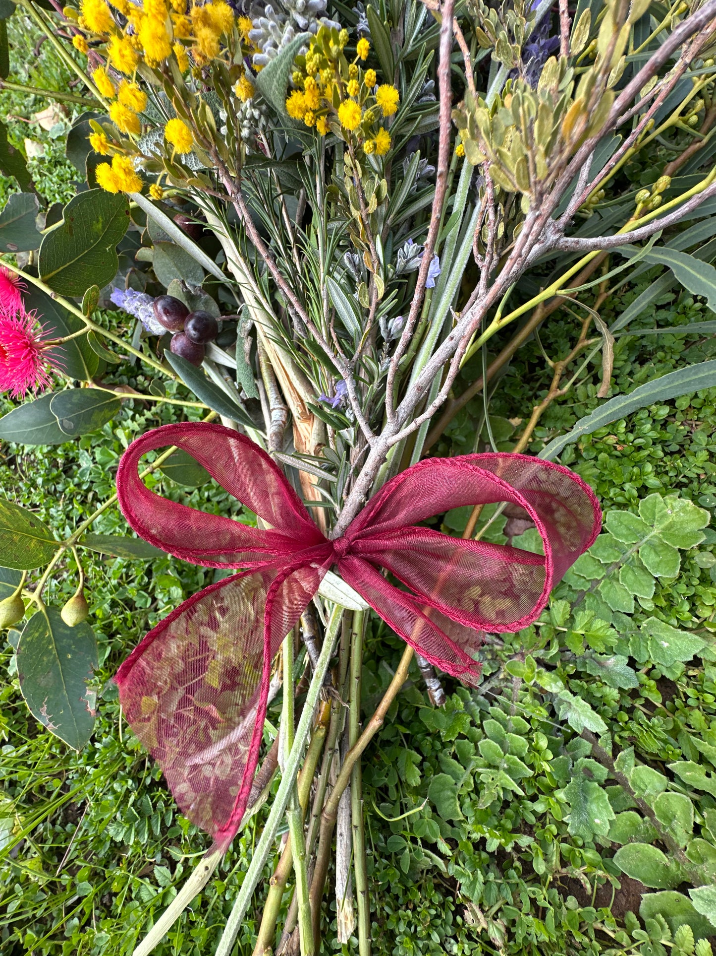 The Native Bunch