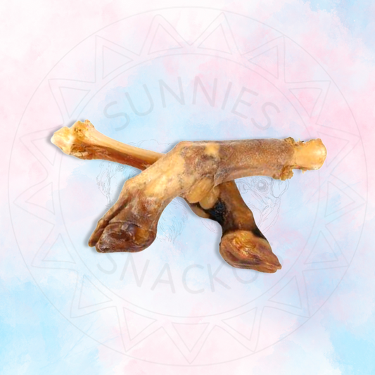 Lamb Trotter
