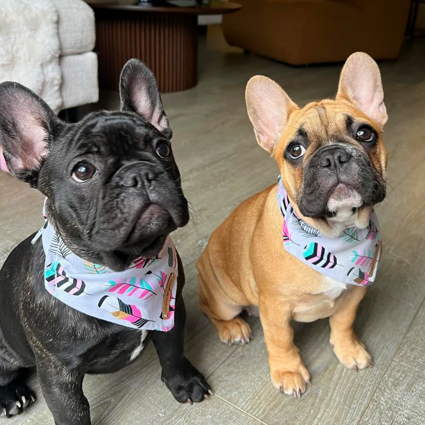 Fairy Bandana