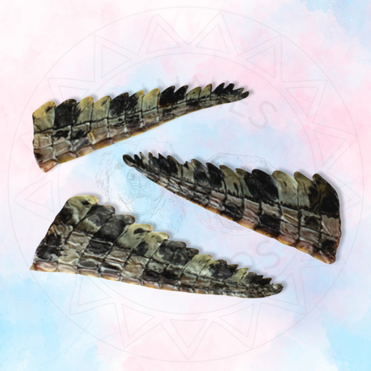Crocodile Tails