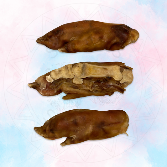 Pork Trotter