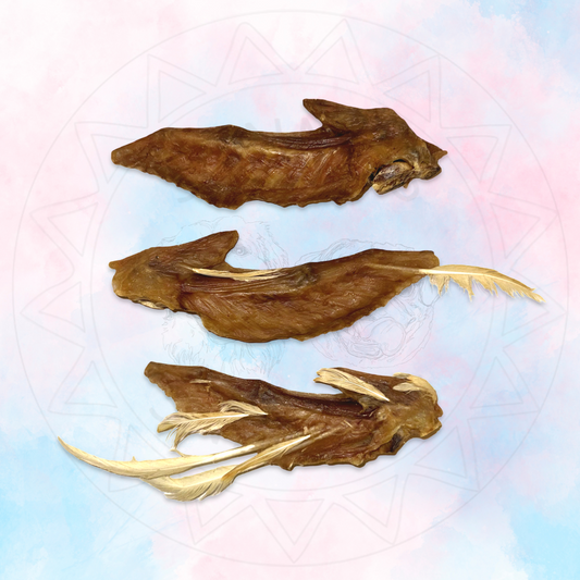 Turkey Wings