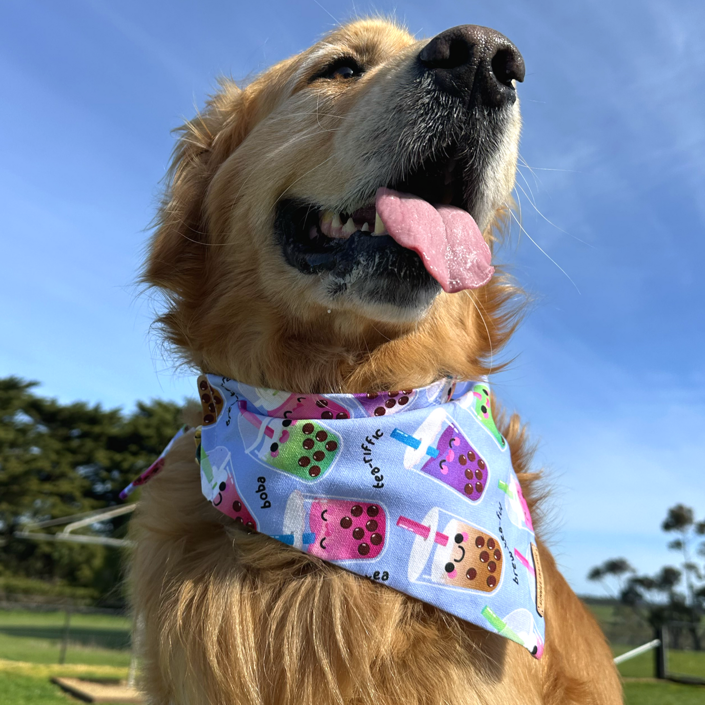 Boba Bandana