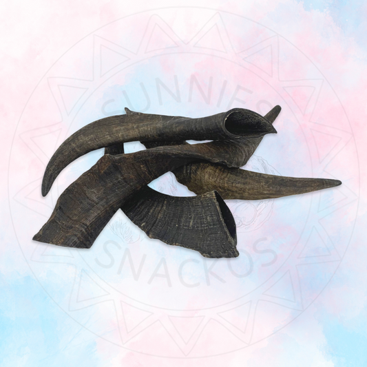 Goat Horn ~ no marrow (25-30cm)