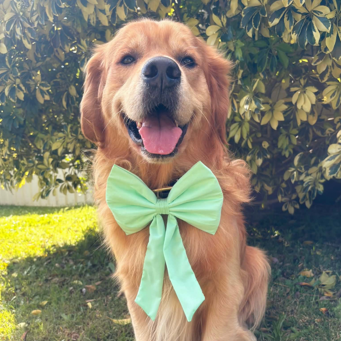 Seafoam Sailor Bow