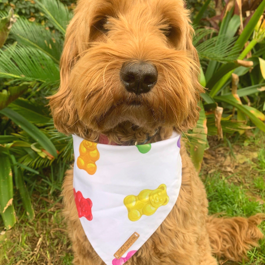 Gummie Bandana