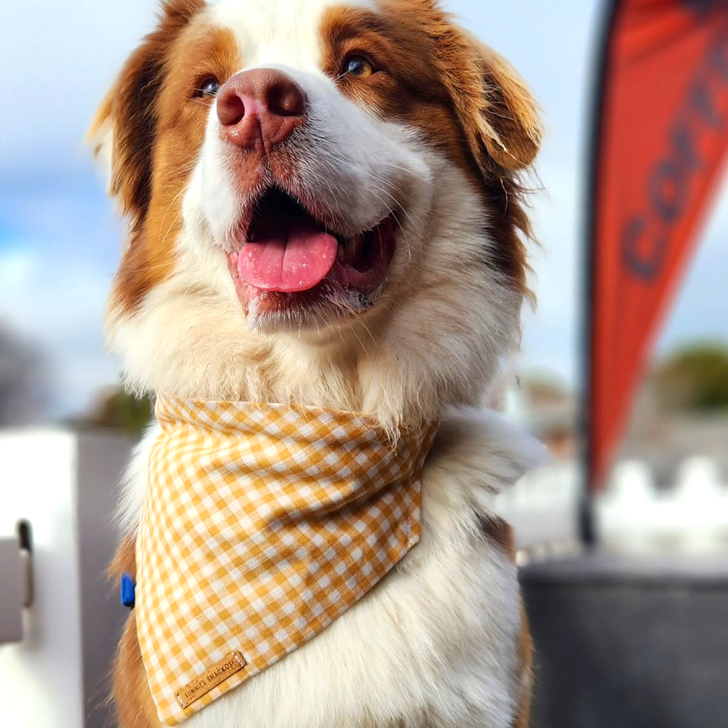 Butterscotch Bandana