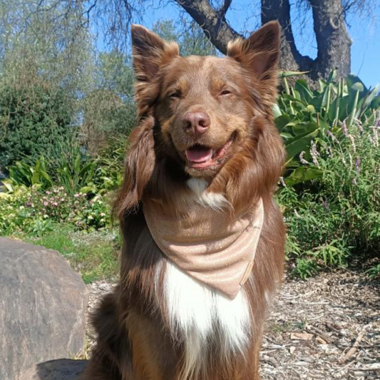 Disco Bandana