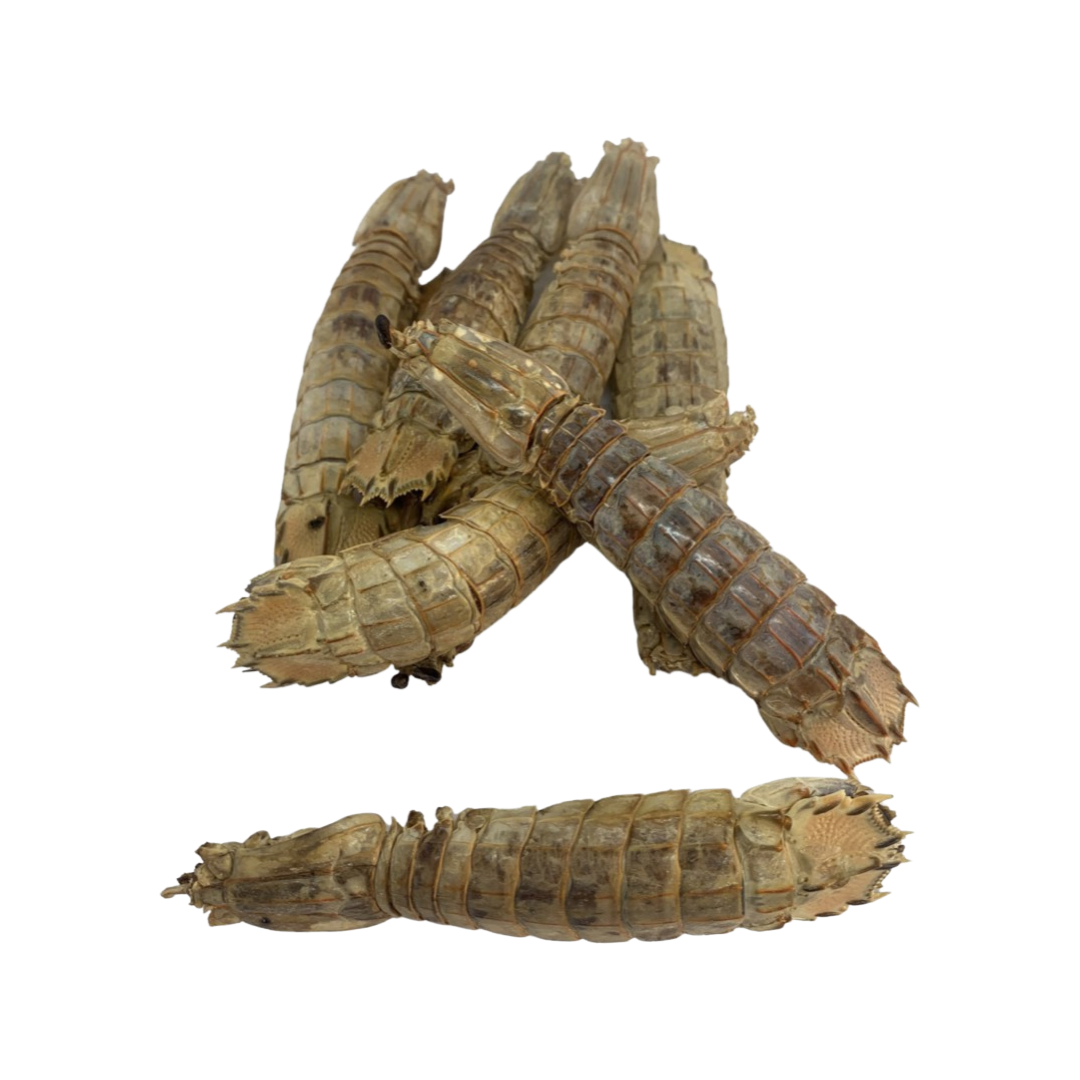 Mantis Shrimp 50g