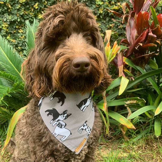 Dogsquad Bandana