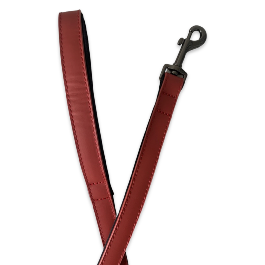 Padded Leather Lead - Clearance